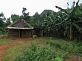 Farm in der Umgebung von Viñales.