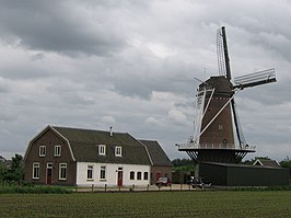 Rijn en Weert