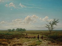 Weids heidelandschap - Wide heather landscape