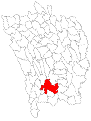 Location in Vaslui County