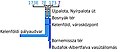 Bélyegkép a 2008. augusztus 24., 20:17-kori változatról