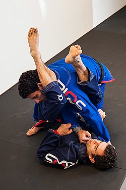 Brasiliansk Jiu-Jitsu, BJJ