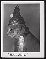 A black-and-white profile photograph of a cat wearing miniature scale armor and a winged helmet. The photograph is labeled with the name "Brünnhilde".