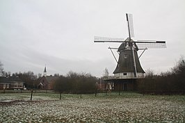 De Berk (januari 2009)