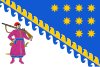 Dnipropetrovsk Oblastı bayrağı