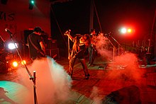 Fossils during one of their concerts