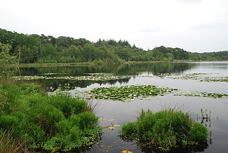 Het ven "Hazenputten" in de Vresselse Bossen in Nijnsel