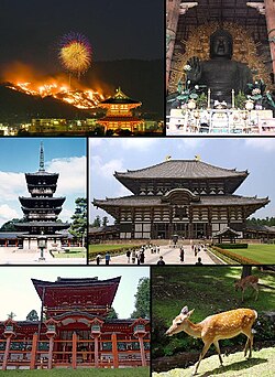 Yukarıdan sola: Wakakusayama Dağı patlaması, Tōdai-ji Büyük Buddhası, Tōdai-ji, Yakushi-ji, Kasuga-taisha ve Nara Parkı'nda bir geyik