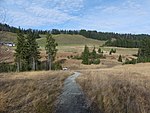 Wanderweg durch das Kojen-Moos