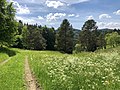 Naturschutzgebiet Scheibhalden