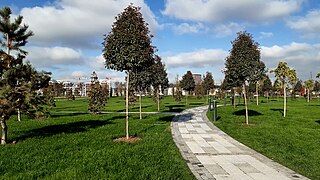 Youth trees in Tashkent City Park