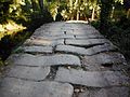 Roman bridge now part of the Camino