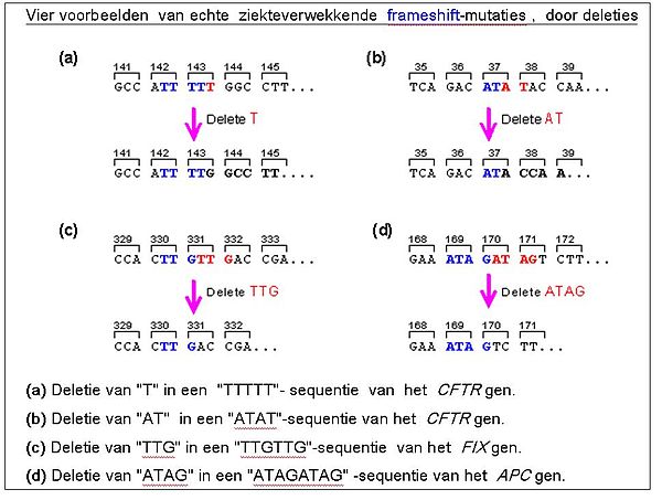 Vier voorbeelden van frameshiftmutatie