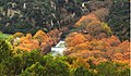 Μικρογραφία για την έκδοση της 14:22, 25 Μαΐου 2018