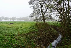 Landscape near Nieuw-Annerveen