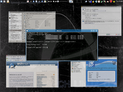 Arch Linux