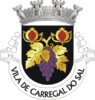 Coat of arms of Carregal do Sal