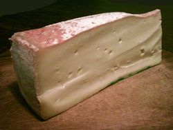 Fontina