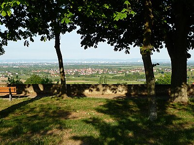 Blick vom Schlossgarten in die Rheinebene