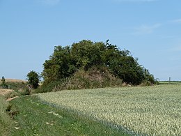 Tumulus van Piétrain/Herbais