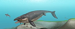 Mosasaurus