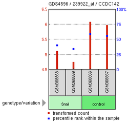 SNAI Overexpression Experiment13