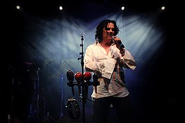 Steve Hogarth