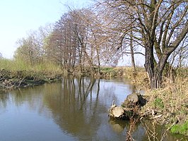 De Wieprz in de buurt van Trawniki