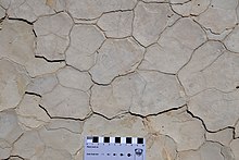 Mudcracks in the Carmel Formation (Middle Jurassic) near Gunlock, Utah.