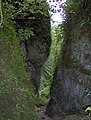 Ebbor Gorge