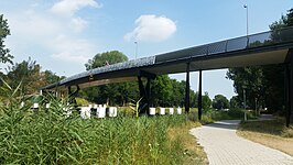 Eva Schalkbrug (juli 2018)