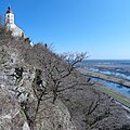 Südhang des Geotops Bogenberg