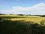 Grain field in Kapoly