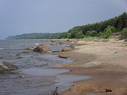 Beach in Moldova, Estonia