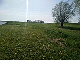 Onderdijkse Polder aan oever Reevediep met doorkijkje naar de Koerskolk op Kampen