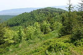 Widok z Muronki