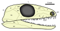 Vorschaubild der Version vom 08:18, 23. Mär. 2014