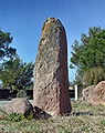 Menhir 21 von Veyssières