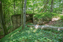 Bild 7: Felsen am Südwesteck der Kernburg (Juni 2015)