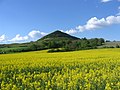 Die Umgebung wird von Hügeln und kleinen Bergen wie dem Kőhegy (Deutsch: Steinberg) geprägt