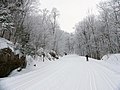 Cross-country skiing trails at Gatineau Park , Quebec track-set for classic skiing at the sides and groomed for skate skiing in the centre.