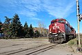 A train on the Canadian Pacific Railway crossing through the park