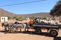 Donkey Cart carrying goats in Kalamare.