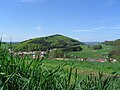 Kallstädter Tal und Kisselbusch im Mischgebiet nördlich Löhrbachs. Am Horizont die das Weschnitztal begrenzende Hügelkette Juhöhe-Hirschkopf