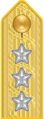 Shoulder mark on uniform m/1910 (1910–1923)