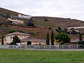 Weinberge in Ampuis