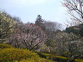 Yakushi-Ike-Park in Machida