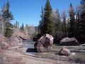 White River NF Colorado