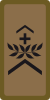 OR-5a - Sergeant