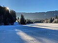 Fronreitener See von dessen Nordseite im Winter